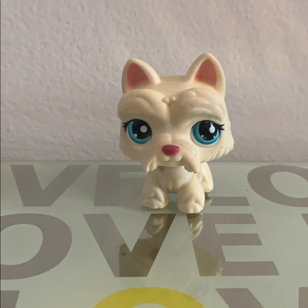 LPS dog :)